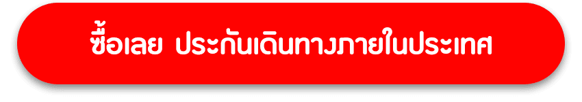 ซื้อประกันเดินทางในประเทศ