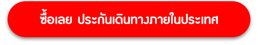 ซื้อประกันเดินทางในประเทศ